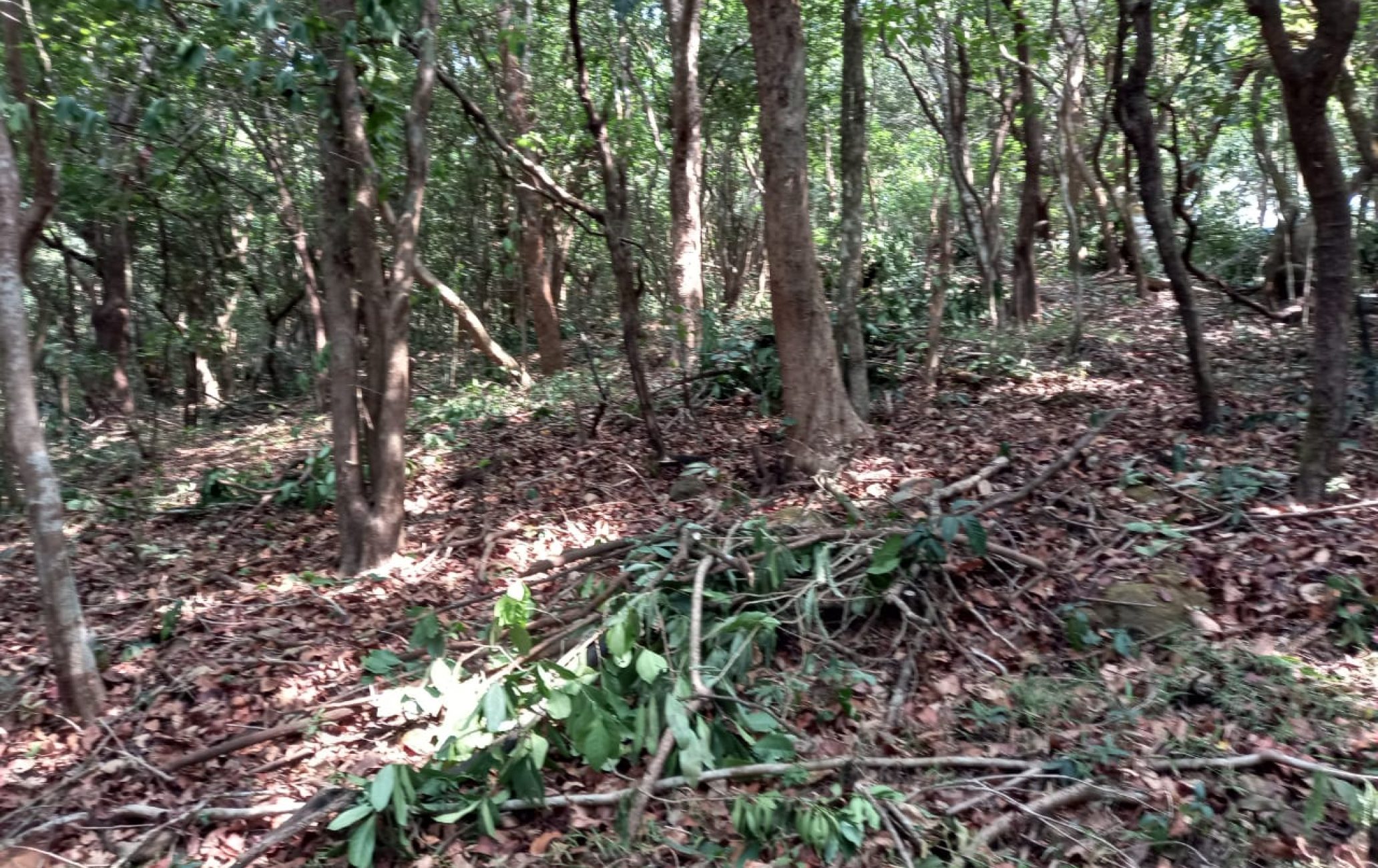 IMG-20210703-WA0031
